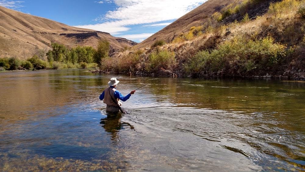 Ideal Fish to Target This Fall