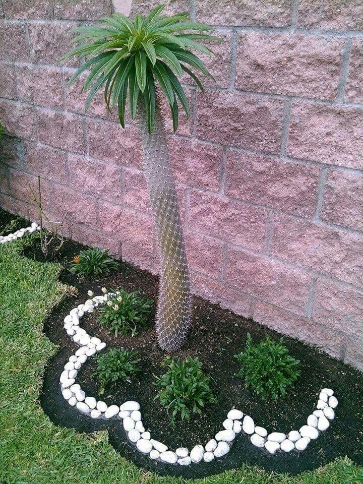 pebble garden