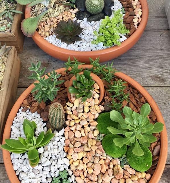 The Cutest Fairy Mini Garden Ideas