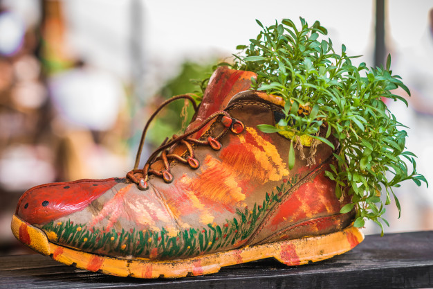 shoe planters