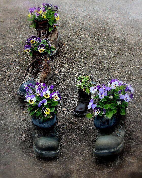 shoe planters
